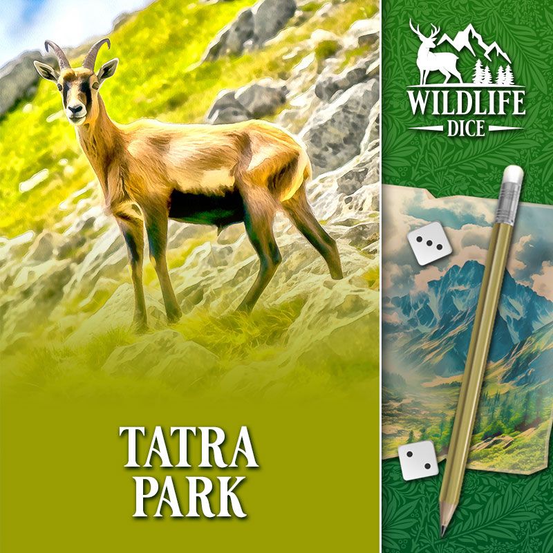 wildlife dice tatra park