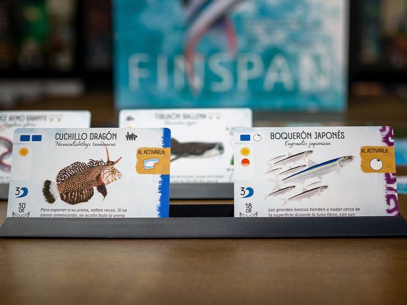 Finspan imagen 2