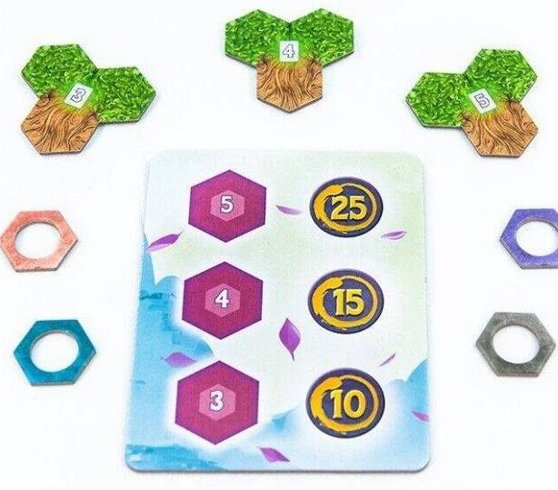 bonsai vigorous growth and specialists