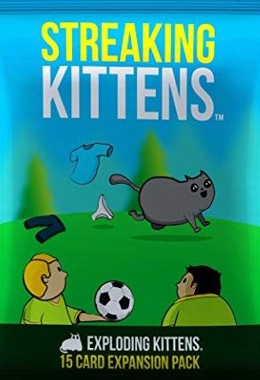 streaking kittens exploding kittens