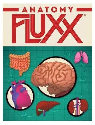 anatomy fluxx