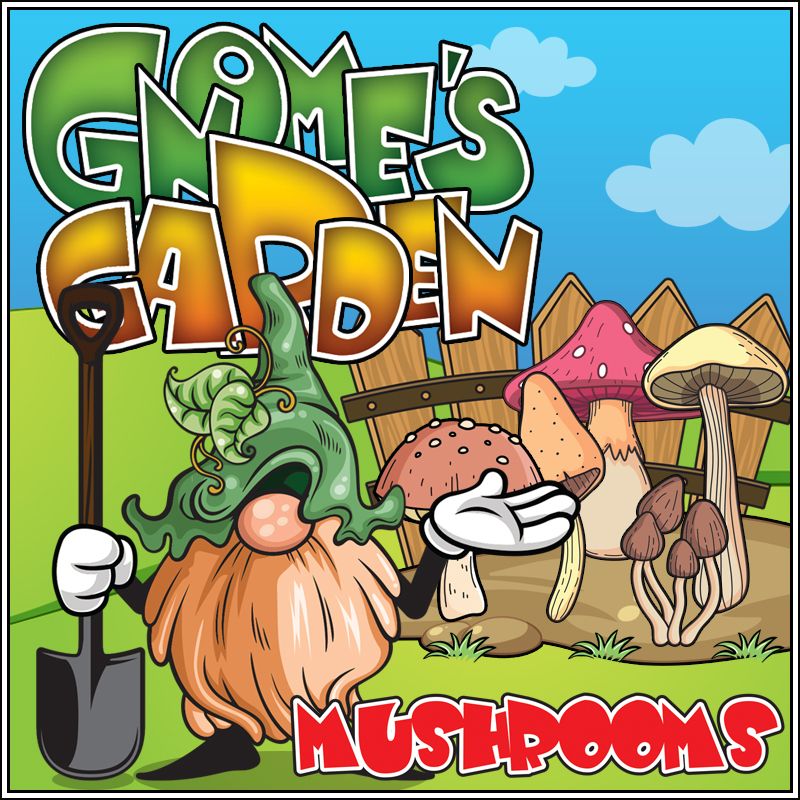 gnomes garden mushrooms