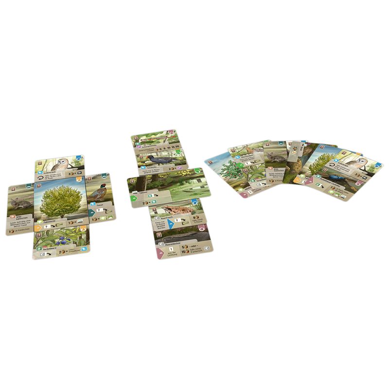 Forest Shuffle: Dartmoor
