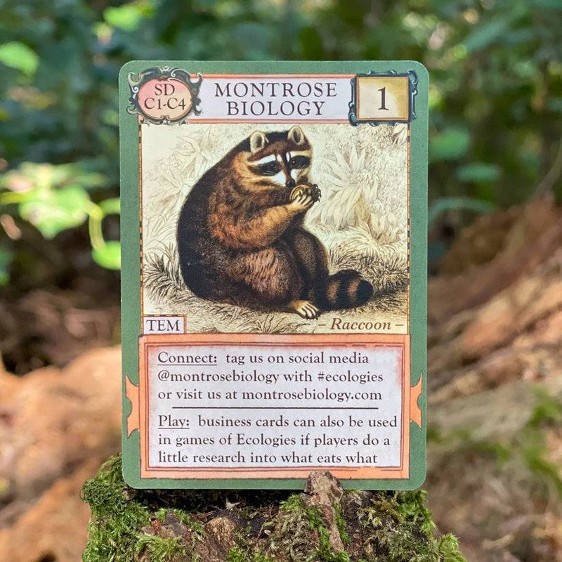 Ecologies: Contact Creatures Business Card Expansion