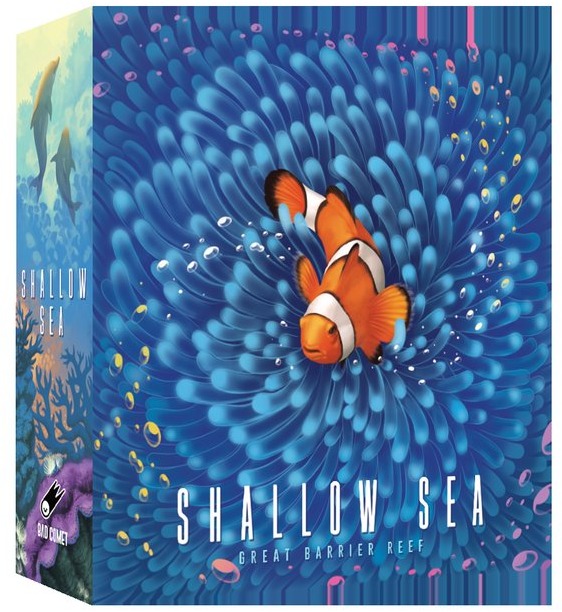 Shallow Sea