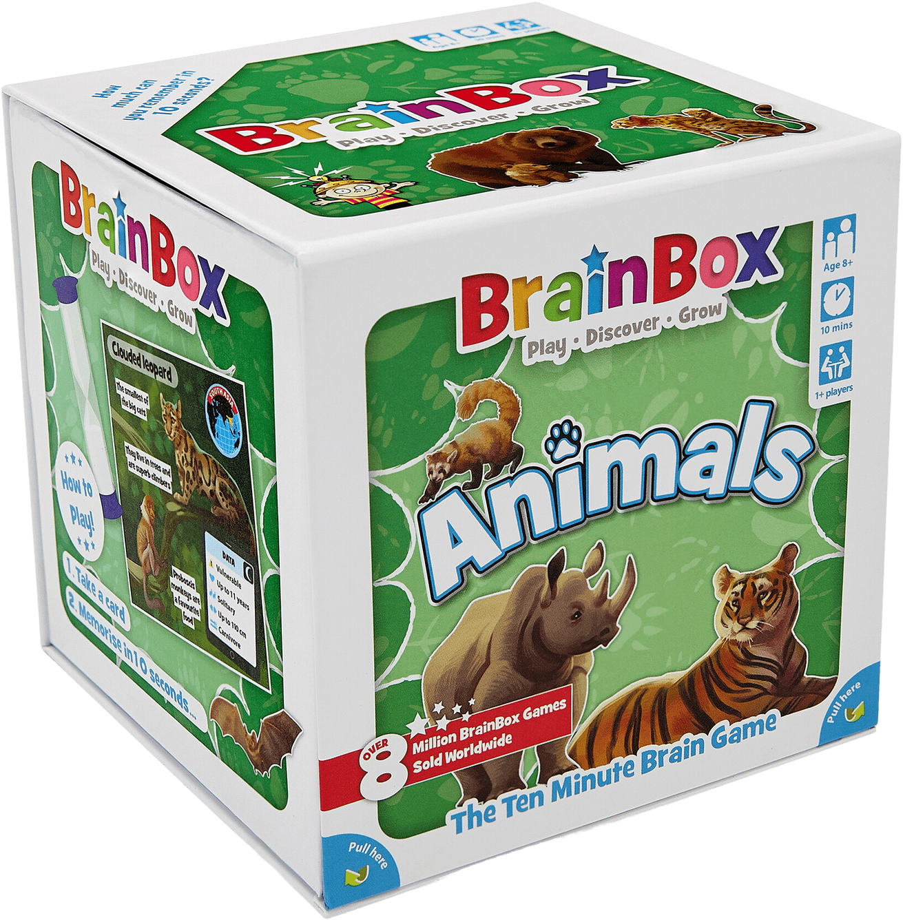 brain box animaux
