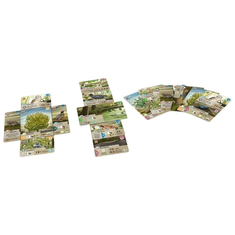Forest Shuffle: Dartmoor imagen 2